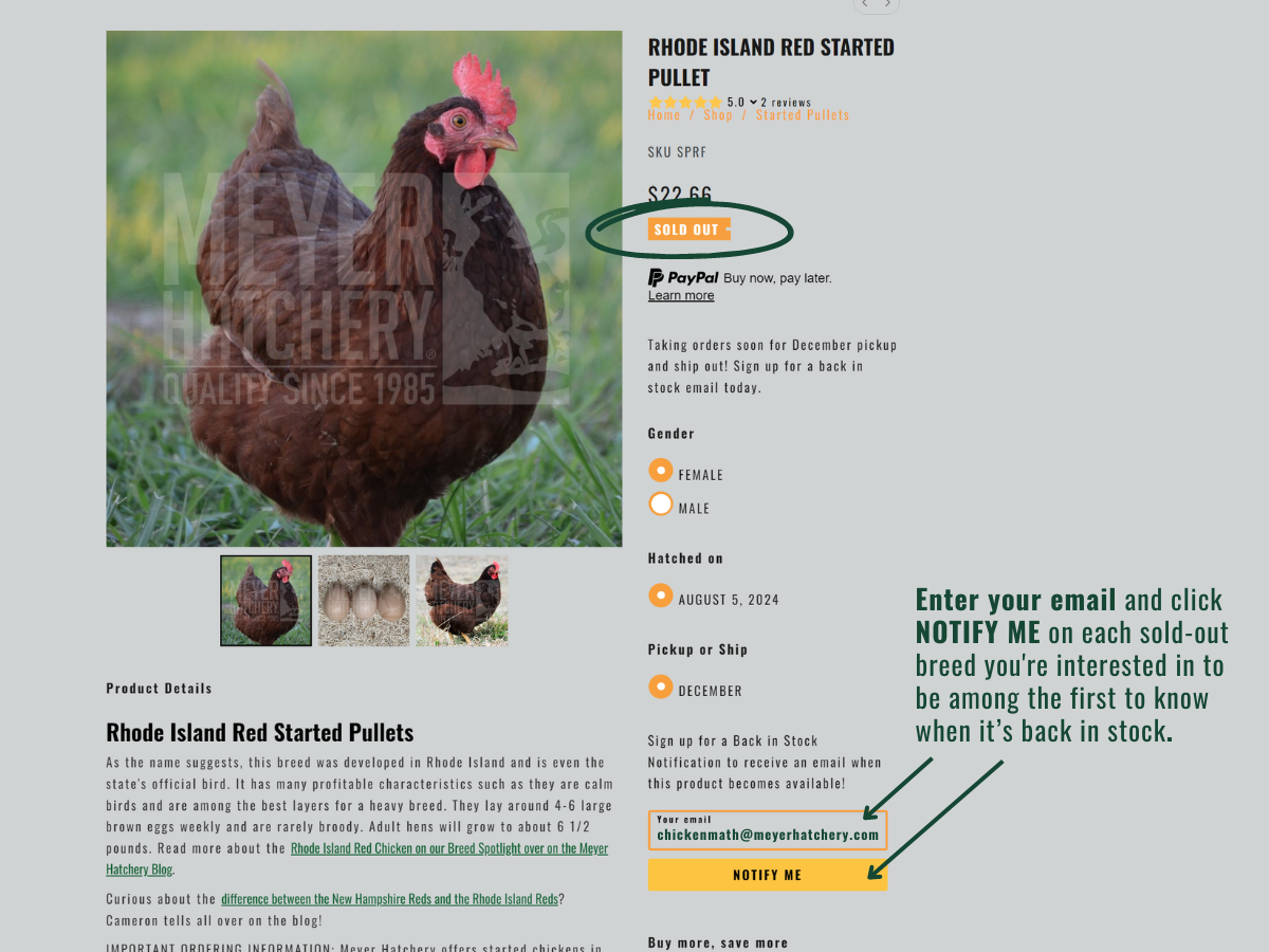 HDA BISN Graphic Update.png