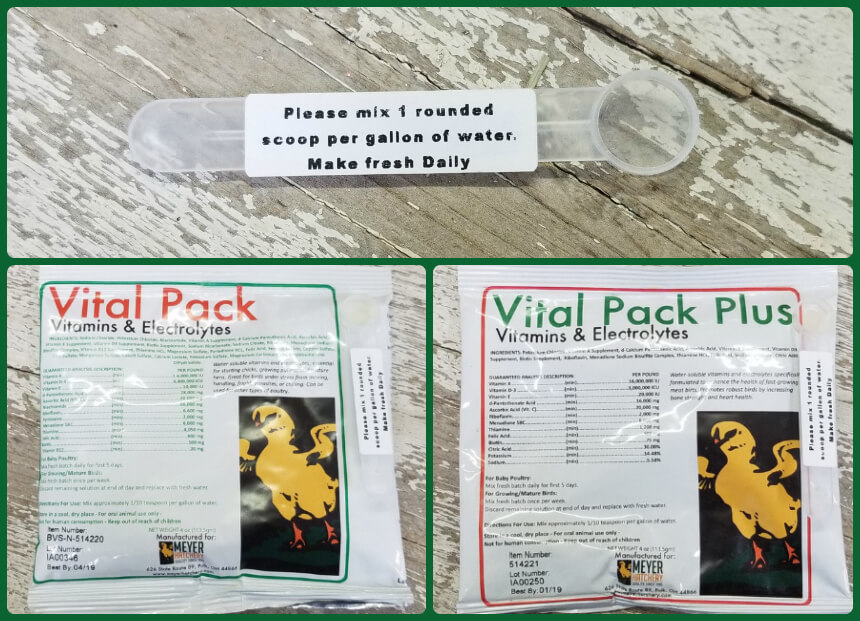 What is Vital Pack (and Vital Pack Plus) and how do I feed it to my ...