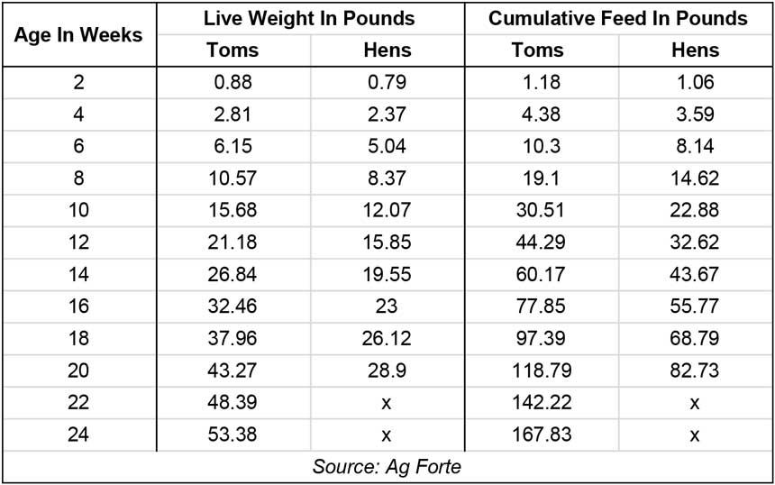 BroadBreasted Turkey Feed Conversion Chart Meyer Hatchery